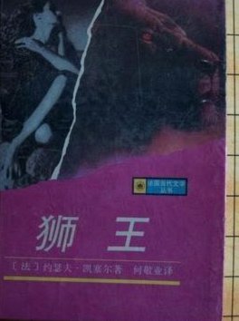 绿茵之上：奔跑的少年