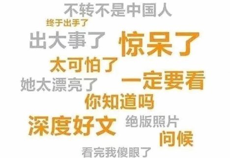 谢晋的抉择：留洋还是星辉？