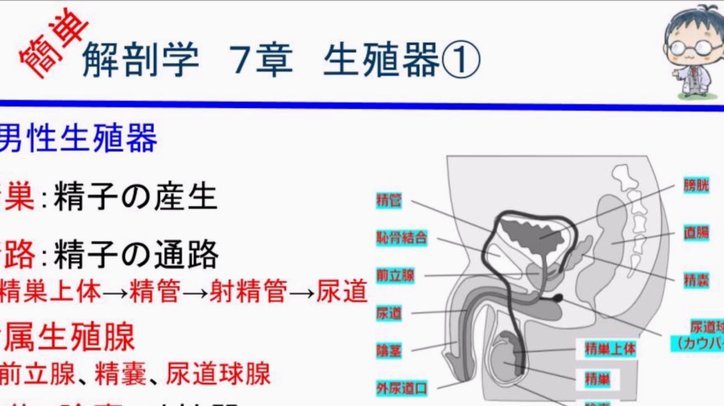 卡纳瓦罗：乌兹别克要把资金投入青训，这才是正确道路216