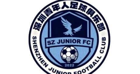 大卫去中甲深圳青年人了