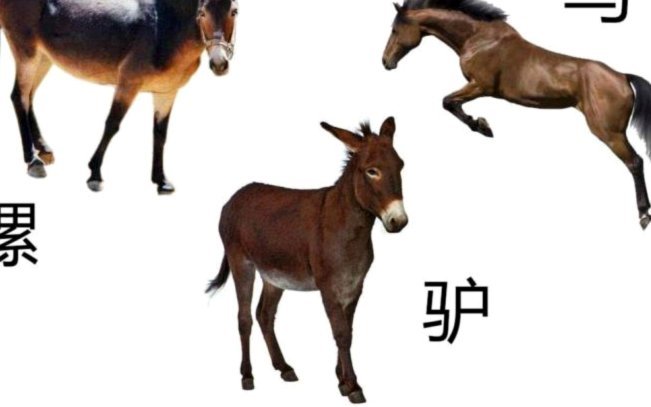 德科重启谈判 罗德里转会细节待定