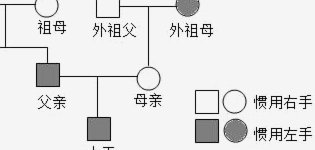 丹麦：小王家庭与团队的理想起点